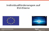 Individualförderungen auf EU-Ebene - MH-Hannover: …€¦ ·  · 2017-06-06Individualförderungen auf EU-Ebene . ... Exellence Grants Horizon 2020 • Execution: European Research