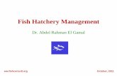 Fish Hatchery Managementfishconsult.org/.../11/Fish-Hatchery-management... · Fish Hatchery Management ... Sand filter – oyster hatchery Morocco Suction pump – backyard . prawn