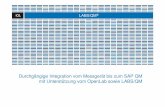 Durchgängige Integration vom Messgerät bis zum SAP … - Durchgängige...LABS/QM ® Durchgängige Integration vom Messgerät bis zum SAP QM mit Unterstützung vom OpenLab sowie LABS/QM