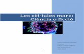 Les cèl lules mare: Ciència o ficció - SARTORE ブーツ ...rovira-forns.cat/files/TRDestacats/lescellulesmare.pdf5 Actualment, hi ha nombroses línies d’investigació basades