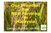 Rice farming proposal1 - EMRO Asia · Our Proposal For Rice Farming in Malaysia Syntropy Malaysia Sdn Bhd. ... Rice-Fish culture (6) Rice production to substitute corn for feed of