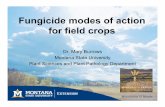 Fungicide modes of action for field crops - MSU Extension modes of action for field crops ... • Identify plant diseases, insects, weeds/plants, ... • Baking soda = sodium bicarbonate