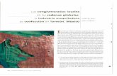 en las cadenas globales - .:: REVISTA DE COMERCIO …revistas.bancomext.gob.mx/rce/magazines/19/5/RCE.pdf · rrollo: los enfoques sobre los distritos industriales y las cadenas productivas