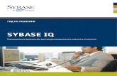 SybaSe IQ - Store.softline.ru · Sybase - эксперт по управлению данными Ваша информация является ценным активом. Начиная
