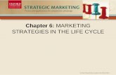 Chapter 6: MARKETING STRATEGIES IN THE LIFE CYCLEthinus.weebly.com/uploads/3/0/6/3/30633117/chap6.pdf · Chapter 11: Strategic Leadership Marketing strategies for mature and declining
