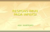 RESPON IMUN PD INFEKSI - الِ ارشد | بسم الله الرحمن الريم€¦ · PPT file · Web view · 2011-11-16RESPONS IMUN TERHADAP ... Interaksi mikroba dg sist