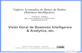 Visão Geral de Business Intelligence & Analytics, etc.uniriotec.br/~tanaka/SAIN/01-VisaoGeral-2015.1.pdf · . Asterio K. Tanaka Balanced scorecard ... Business School Robert Kaplan