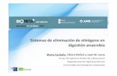 Sistemas de eliminación de nitrógeno en digestión anaerobia pdf/20 Presentacion Biometa-Marta... · Nombre Compañía/País Proceso Biomasa Reactor Nº plantas ANAMMOX® Paques
