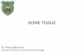 BONE - Doctor 2016 · Assistant Professor of Anatomy and Histology. BONE FUNCTION •Support ... •Mineral homeostasis (bones act as reserves of minerals important for the body like
