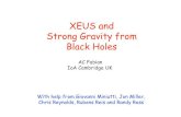 XEUS and Strong Gravity from Black Holes - sci.esa.intsci.esa.int/Conferences/xeus/13_Strong_Gravity_Fabian.pdf · XEUS and Strong Gravity from Black Holes AC Fabian IoA Cambridge