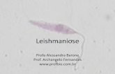 Leishmaniose - profbio.com.br · •Complexo Leishmania mexicana ... Morfologia •Formas amastigotas –Habitat: vacúolo digestivo das células do SMF do hospedeiro vertebrado
