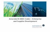 Amended B-BBEE Codes –Enterprise and Supplier … CODES OF GOOD PRACTICE ENTITY SIZE CLASSIFICATIONS 2013 CODES OF GOOD PRACTICE ENTITY SIZE CLASSIFICATIONS EXEMPT MICRO ENTERPRISE