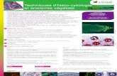 Techniques d’histo-cytologie et anatomie végétale · -Préparation des éhantillons et spéifiité de l’histologie végétale : Fixation, déshydratation, inclusions en paraffine,