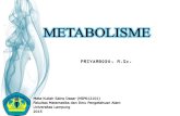 Ailuropoda melanoleuca - Staff Official Site Unilastaff.unila.ac.id/priyambodo/files/2017/01/Biologi-Metabolisme...Fotosintesis (Asimilasi Karbon) ... •Peristiwa oksidasi sel untuk
