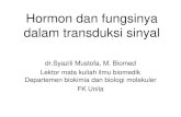 Hormon dan fungsinya dalam transduksi sinyal · oleh perbedaan potensial membran sel ... –larut air (ligan hidrofilik) interaksi dengan reseptor permukaan sel –larut lemak ...