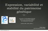 Expression, variabilité et stabilité du patrimoine génétique variabilité et stabilité du patrimoine génétique Cours de 1ère Scientifique générale Partie 1 du programme officiel