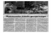 Flensburger Nachrichten 25.07 - Massoud Godemannmassoudgodemann.de/media/MG3-Rezensionen.pdf · Joe Pass erhalten hat, klang gelegentlich durch. ... ger virtuos inspirierten Bou-