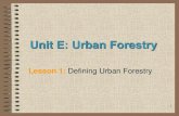 Unit E: Urban Forestry - Afghan Agricultureafghanag.ucdavis.edu/educational-materials/files/forestry/edfwafg...• Urban forestry ... • Healthy urban forests improve the quality