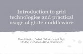 Introduction to grid technologies and practical usage of ...newuc.jinr.ru/img_sections/file/Practice2013/Presentation_Eu/Stefko... · Or download file from SE. ... Blender's model