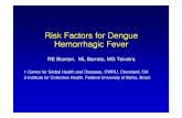 Risk Factors for Dengue Hemorrhagic Fever - EPI 2008epi2008.com.br/apresentacoes/MESA_REDONDA_22_09... · Risk Factors for Dengue Hemorrhagic Fever RE Blanton, ... hemorrhagic manifestations