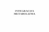 No Slide Titlebio.ijs.si/~upetrovic/png/Integracija_metabolizma_predavanje_8.pdf · Diabetes melitus (sladkorna bolezen) - Tip I: nezadostna sekrecija inzulina - Tip II: celice ne