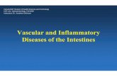 Vascular and Inflammatory Diseases of the Intestines · Vascular and Inflammatory Diseases of the Intestines ... Malabsorption- other causes • Immune conditions • Hypersensitivity/allergy/eosinophilic
