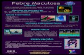 Cartaz Febre maculosanov 22 Maculosa Brasileira, por Leila A.G. Barci e Adriana H.C. Nogueira. A e B - fêmea ingurgitada de Amblyomma cajennense. C - macho e fêmea de ...