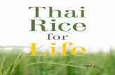 Thai Rice for Life rice for life_book.pdfค ณประโยชน ข าวไทย Glorious Grains of Great Health Beneﬁts 23 — Section III — อ ข าว อ น า