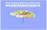 NORMA MOREIRA SALGADO FRANCO & …bio-neuro-psicologia.usuarios.rdc.puc-rio.br/assets/livro_completo.pdf · neuroanatomia, pois foi escrito de forma simples, ... termos é denominado