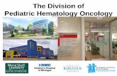 The Division of Pediatric Hematology and Oncologychmfoundation.org/.../2015/11/HEMONC-Foundation-event-2015-PPT.pdfAmerican Society of Pediatric Hematology Oncology, Children’s Oncology
