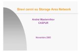 Brevi cenni su Storage Area Network · Brevi cenni su Storage Area Network Andrei Maslennikov CASPUR Novembre 2005