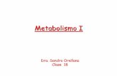 Metabolismo I - nutricion2013 · Metabolismo de carbohidratos . Glucólisis ... •La célula lleva a cabo fermentación para que glucólisis pueda tener una fuente de NAD+ ya que