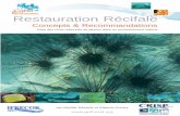 Restauration Récifale - ccres.netccres.net/.../5/reef_restoration_concepts__guidelines_french.pdf · Restauration Récifale par Alasdair Edwards et Edgardo Gomez Concepts & Recommandations