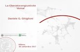 La Cheratocongiuntivite Vernal Daniele G. Ghiglioni · Classificazione basata su fisiopatologia e ipersensibilità: nomenclatura proposta dalla task force. La cheratocongiuntivite