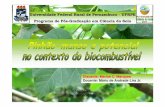 Universidade Federal Rural de Pernambuco …lira.pro.br/wordpress/wp-content/uploads/2009/09/apresentacao-m...açúcar, plantas oleaginosas (babaçu, amendoim, soja, mamona, girassol,