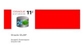 Oracle 11g OLAPdownload.oracle.com/opndocs/emea/Oracle_11g_OLAP.pdf · КраткаяисторияOracle OLAP(2/2) • 1995 –Oracle приобретаетExpress уIRI • 1998-2000
