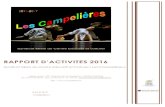 RAPPORT D’ACTIVITES 2016 - lescampelieres.frlescampelieres.fr/wp-content/uploads/2017/12/RAPPORT-DACTIVITES...Monsieur Patrick TAMBAY ... -Le Club de l’Age d’Or Mougins -Mougins