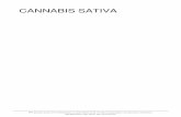 CANNABIS SATIVA - Biblioteca Virtual · Cannabis sativa 1 Cannabis sativa Cannabis sativa Clasificación científica Reino: Plantae División: Magnoliophyta Clase: Magnoliopsida Orden: