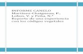INFORME CANELO Martínez-Chaigneau, P., Lobos, V. y … · o Clasificación taxonómica: Clase Magnoliopsida, Orden Magnoliales, Familia Winteraceae. El nombre científico de esta