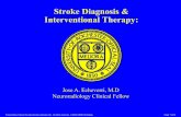 Stroke Diagnosis & Interventional Therapy · Stroke Diagnosis & Interventional Therapy: ... Stroke Director JH Sch. of Medicine Carotid Intervention Workshop, ... ©2002 URMC Radiology