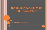 RADIO-ANATOMIE DU LARYNX - pe.sfrnet.orgpe.sfrnet.org/Data/ModuleConsultationPoster/pdf/2013/1/0ee81560-c... · Le larynx joue un rôle essentiel dans la respiration, la déglutition,