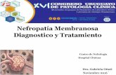 Nefropatía Membranosa Diagnostico y Tratamiento · • Glomerulopatias primarias • Definición Nefropatía Membranosa • Frecuencia en el Uruguay • Etiología y patogenia •