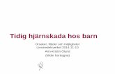 Tidig hjärnskada hos barn - livsmedelsverket.se ·  Programmet reviderat 2013 . 2014-11-10 ann-kristin.olund@nll.se 15 Nationellt kvalitetsregister och