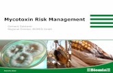 Mycotoxin Risk Management -  · Ein Temperaturanstieg von +2° C kann die Aflatoxin Risikozone für Mais Richtung Norden ausweiten, das in einem hohen Aflatoxin Risiko in den südlichen