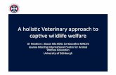 A holisc Veterinary approach to capve wildlife welfare holisc Veterinary approach to capve wildlife welfare Dr Heather J. Bacon BSc BVSc CertZooMed MRCVS Jeanne Marchig