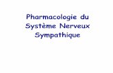 Pharmacologie du Système Nerveux Sympathiquelouis.dewey.free.fr/Cours/D1/pharmaco/premier_semestre/Systeme...Système nerveux sympathique Centres bulbaires et hypothalamiques Fibre