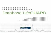 クラウド環境もサポートできる Database LifeGUARDkg-i.jp/dbtech/pdf/Database_LifeGUARD.pdf · 環境を新たに構築 ... ・PHP 6 Database LifeGUARDの稼動環境 ...