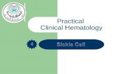 [PPT]Sickle Cell Test - الصفحات الشخصية | الجامعة الإسلامية ...site.iugaza.edu.ps/akurdi/files/Sickle-Cell-Test.ppt · Web viewPractical Clinical Hematology
