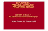 EXPLOITATION: PREDATION, HERBIVORY, PARASITISM & DISEASEecology.lifescience.ntu.edu.tw/course_932_ecology/L3-Exploitation... · • Env resource dec ... Pressure of predation and
