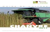 Guide chanvre Terres-Inovia2017-IL Mise en page 1 · ... le chanvre, Cannabis sativa L.,est cultivé ... • Rendements moyens en paille et graines ... pour un prix de vente de la